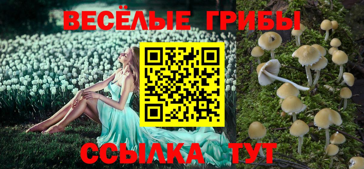 Псилоцибиновые грибы ЛСД Чистополь